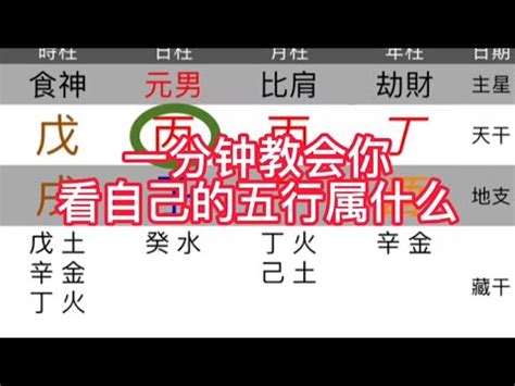 自己屬性|【怎麼看自己的屬性】怎麼準確預測自己的屬性？一次搞懂五行體。